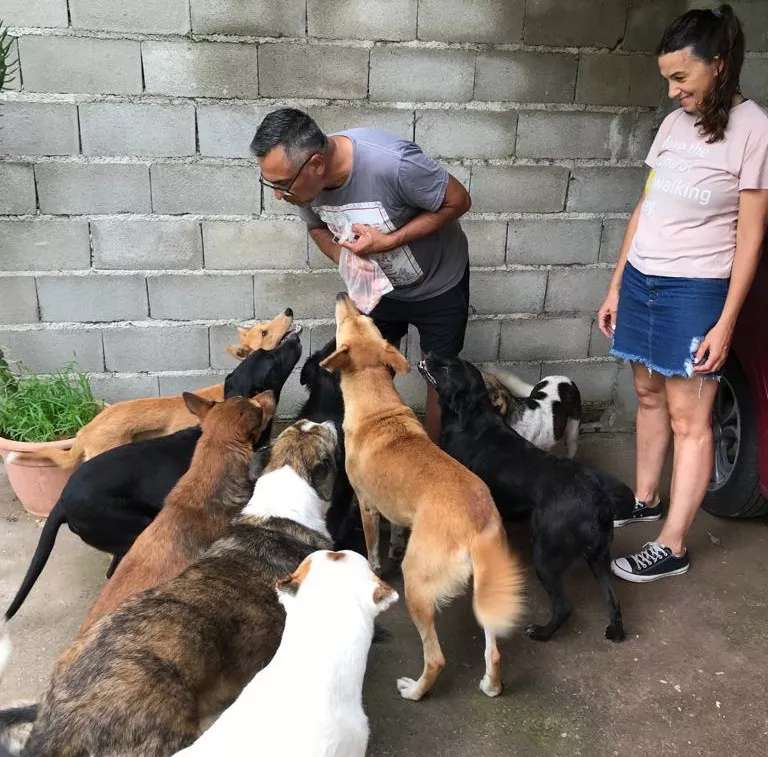 Perros Parera 1