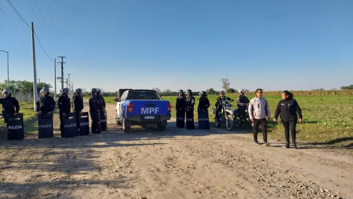 nino-perros-concepcion-696x392