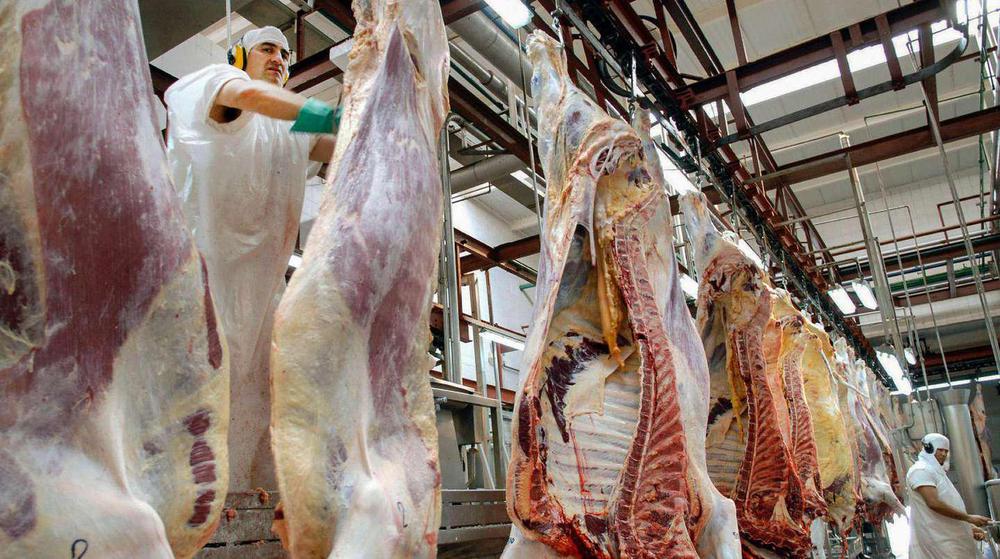 carne corte