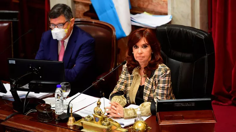 cRISTINA EN EL sENADO