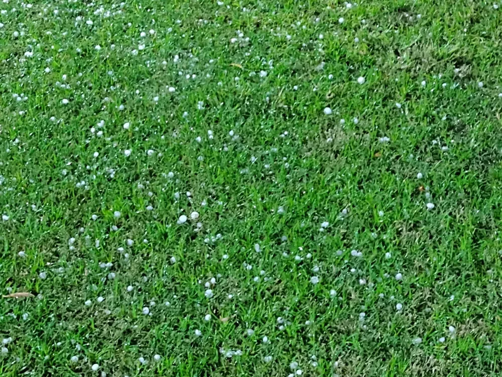 3c534269-3a14-4e62-beb9-9d0129d0f4ba