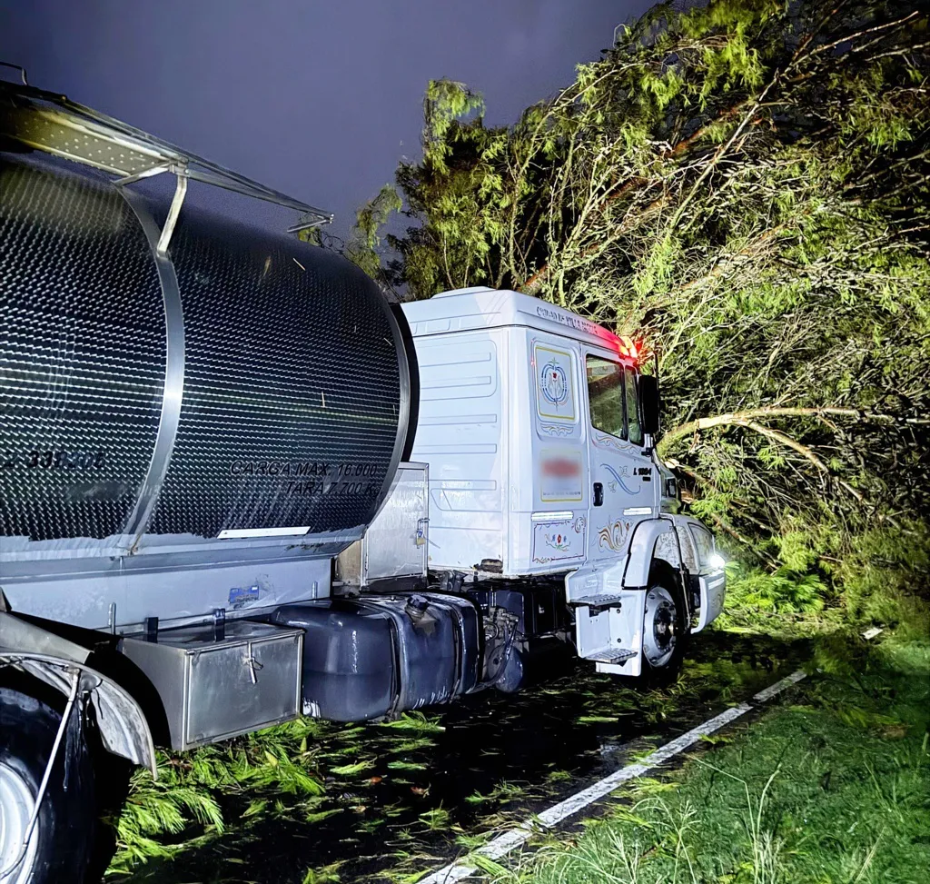 tormenta alvear 4 FILE