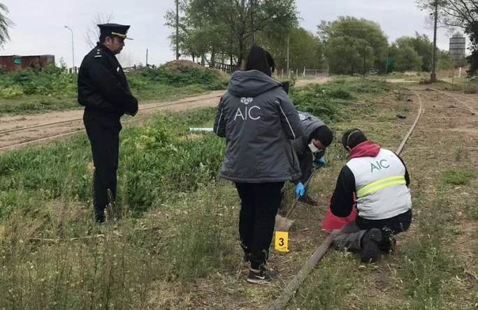 Fumigación inspeccion terrenos del ferrocarril