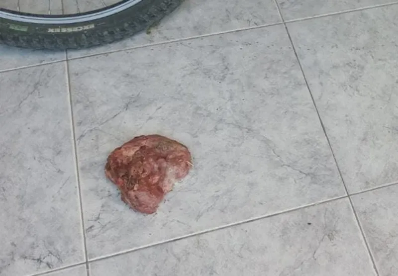 653a7ab3-6963-4b3f-8d06-8a71f14d563b