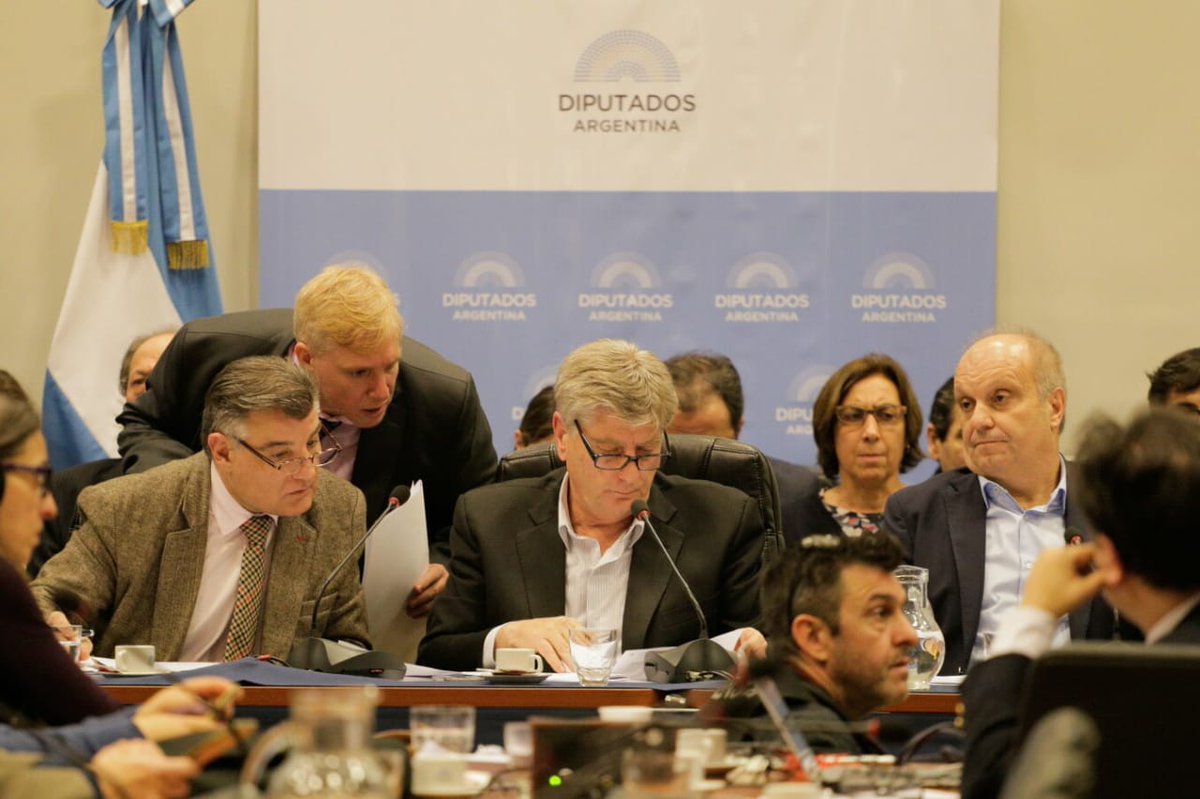 ziliottolombardicomisiondiputados20198