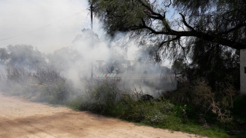 20180206_140813 (FILEminimizer)