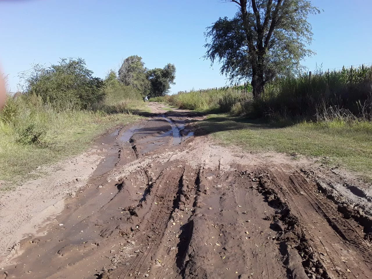 caminos vecinales Realicó 2