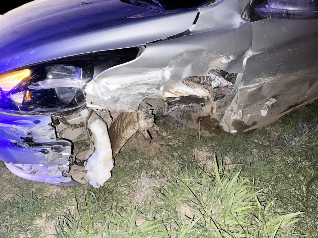 despiste mujer 188 4 FILE