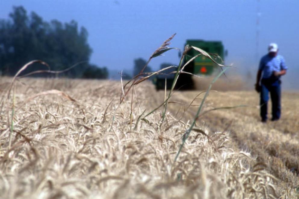 trbajo-rural-1