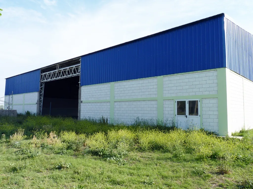 correcaminata falucho oscar canonero 10 (FILEminimizer)