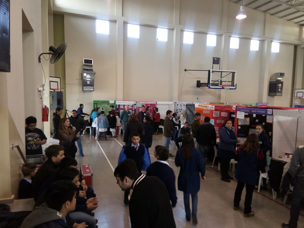 FERIA DE CIENCIAS 1