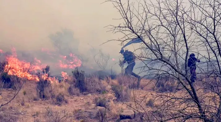 imagen_2024-09-22_101238670