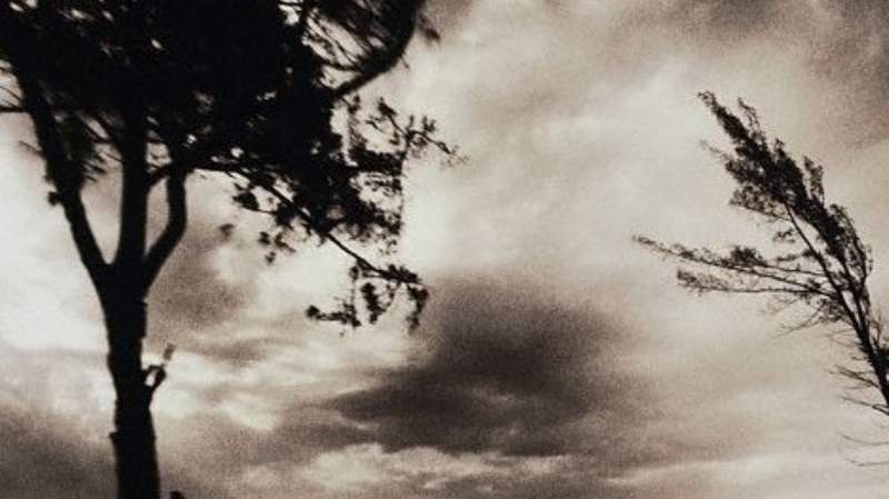 f800x450-96486_147932_26