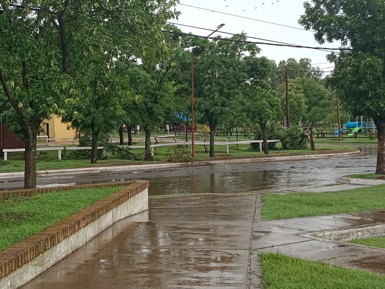 414269945_7366291226715819_5127822234669818836_n