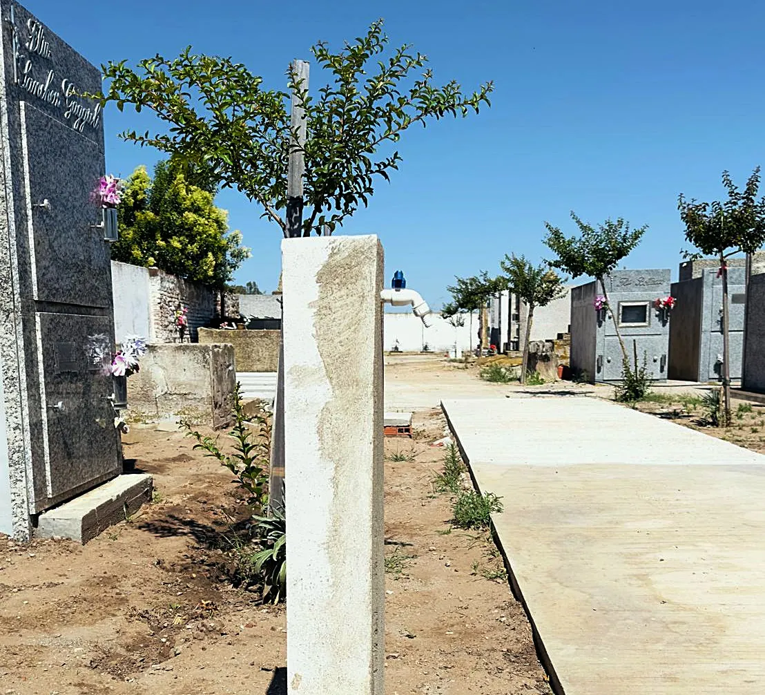 cementerio martini 2