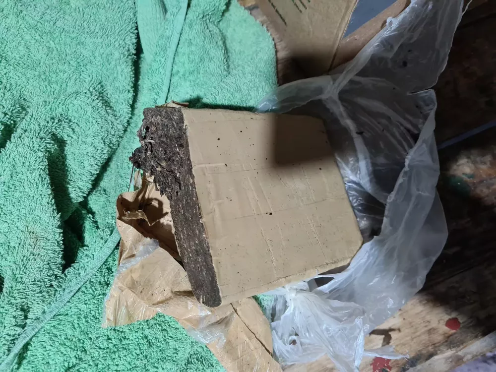 287189_whatsapp-image-2022-03-31-at-8.41.58-am