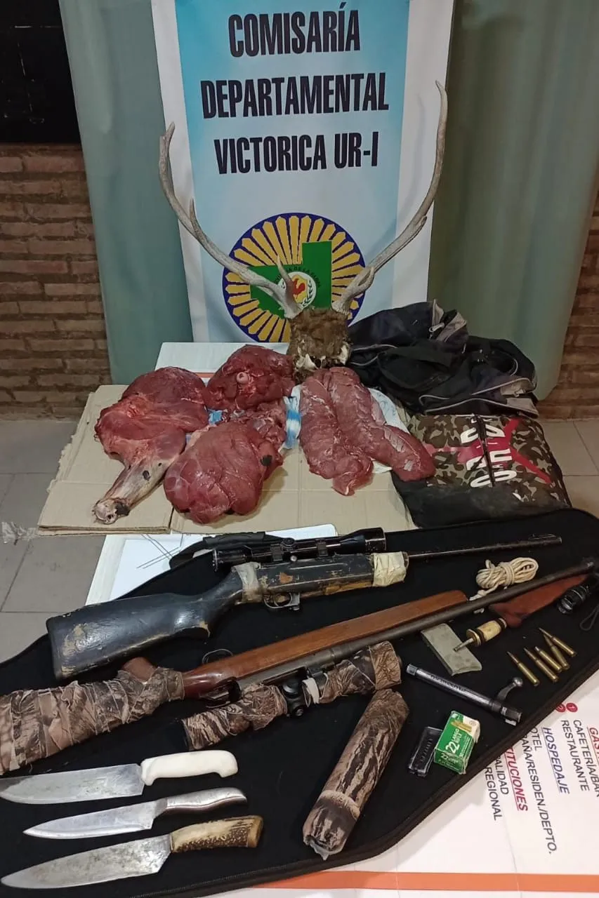 f316b21c-18df-4793-941b-a67f2e945bbb