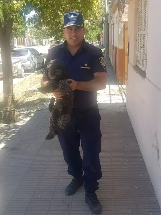 Roco 1