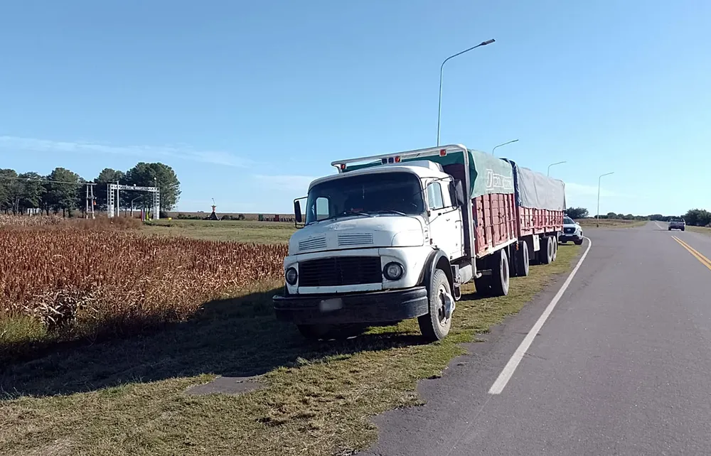 condutcor alcoholizado
