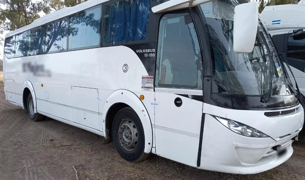 colectivo 2