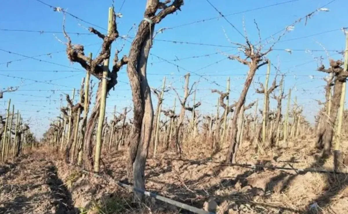 d41eaad3bc4ec5eed8df583d144dd2d6_M