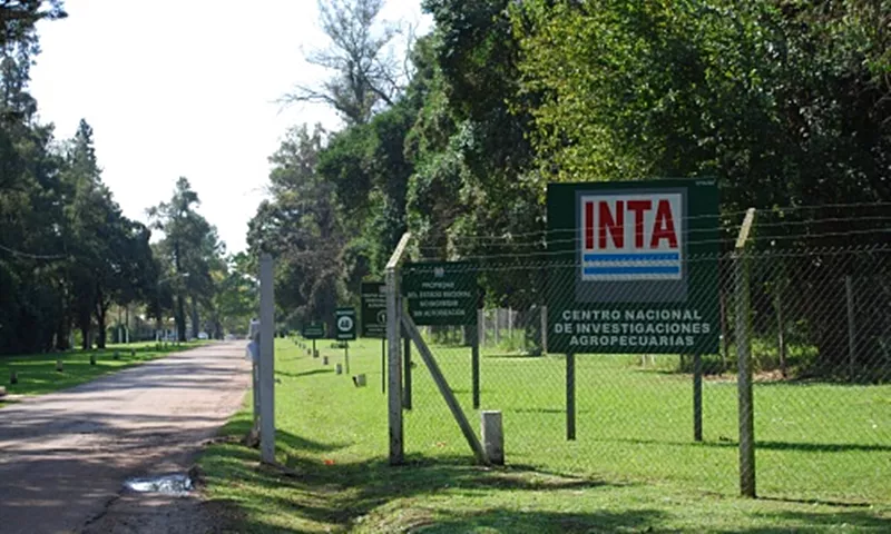 inta castelar