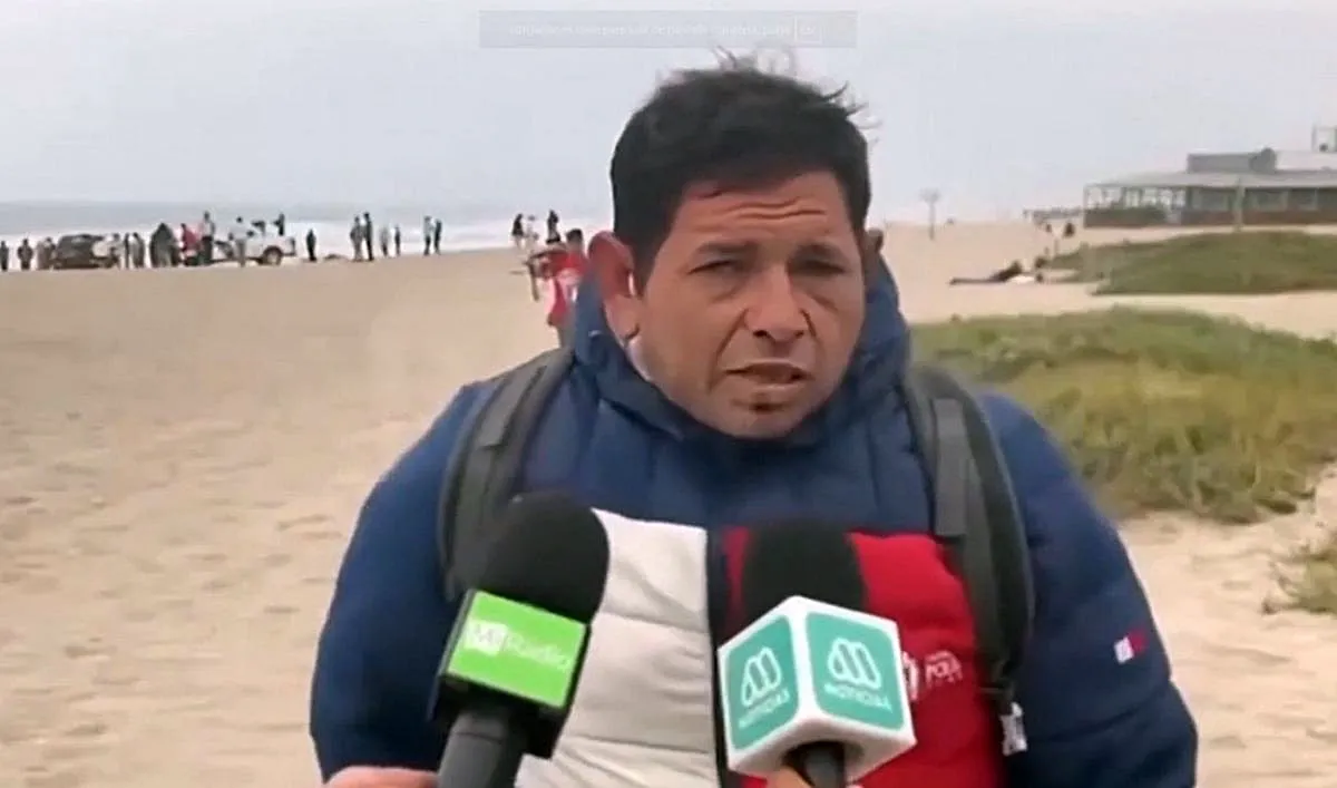 albañil chileno