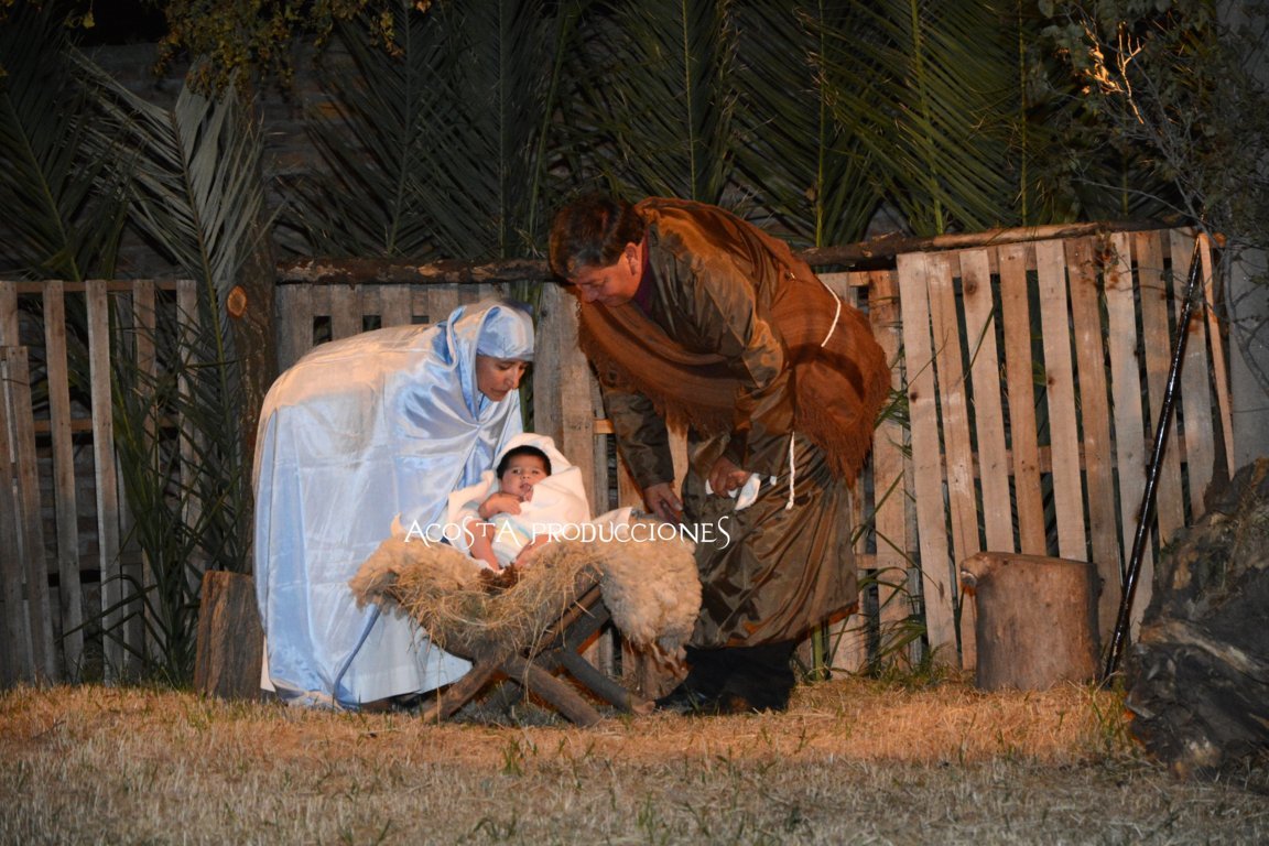 DSC_3513 (FILEminimizer)