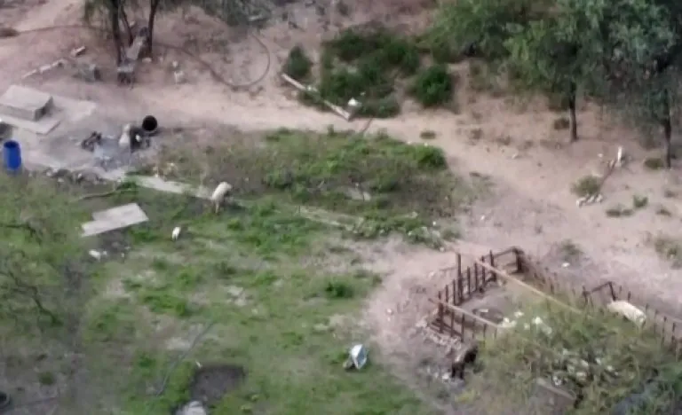 0d7d43f2cb170f625afe62076d30029f_M