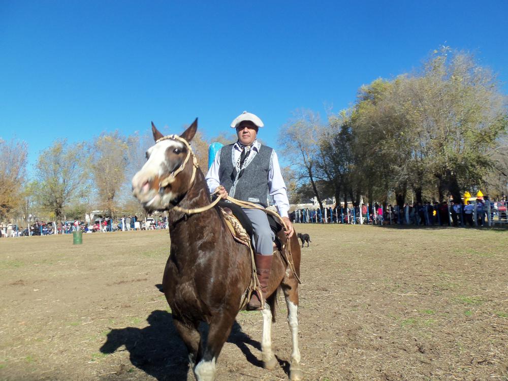 PARERA, BS.AS., VENADO TUERTO 2016 018