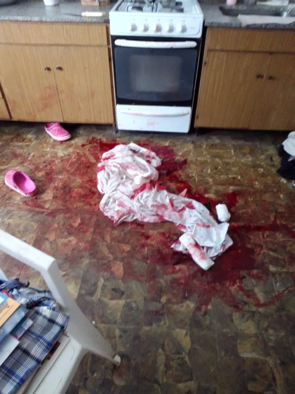 perro ataque Realicó 1