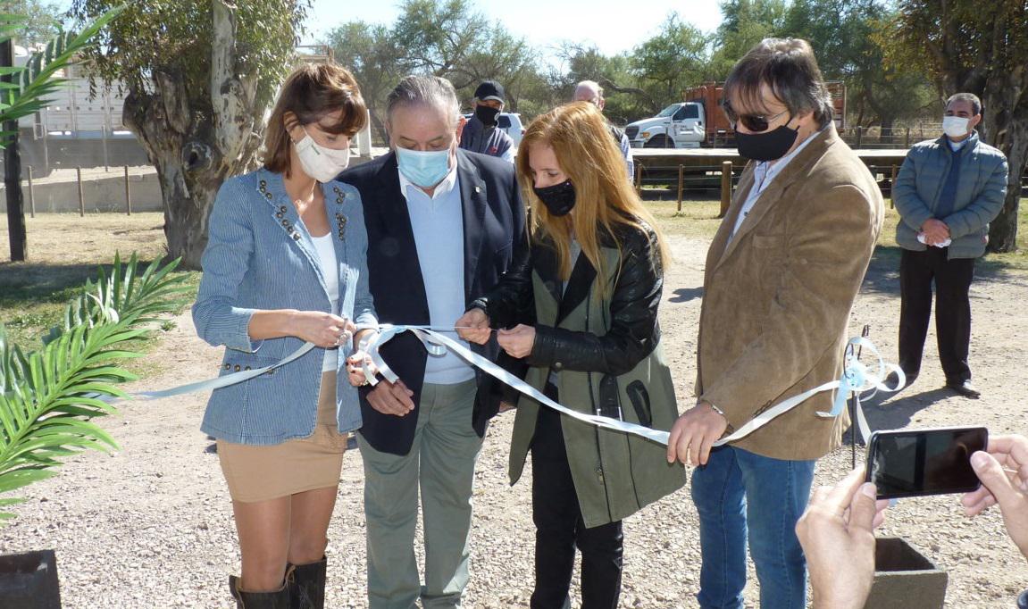 P1060558 (FILEminimizer)