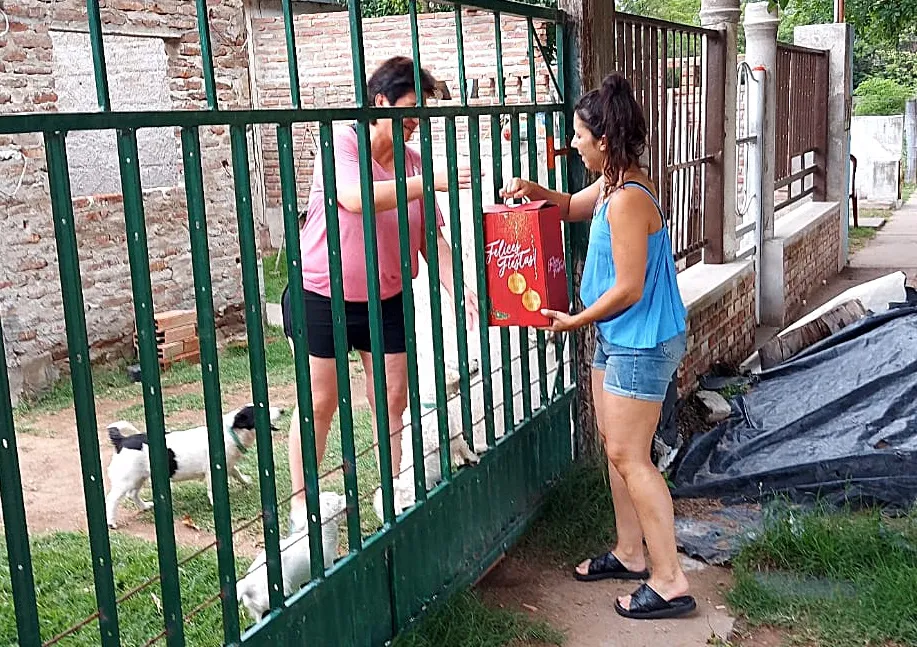 1be478c1-2726-4e23-b2ec-27ff31bc6b6c