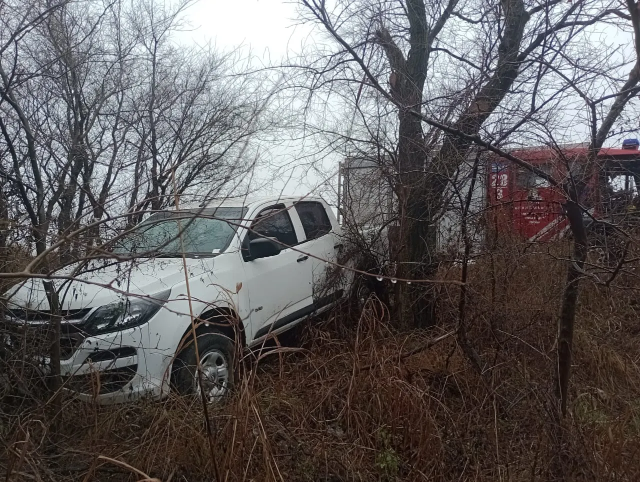 9cea7c6b-d30f-44ff-ae44-d5608cd9084a