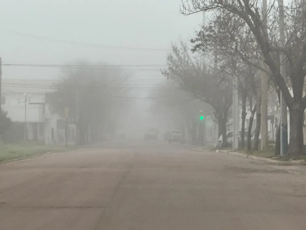neblina