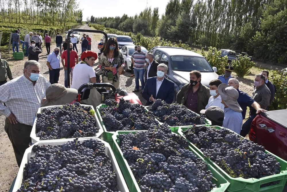 2306499__dsc1860-copia