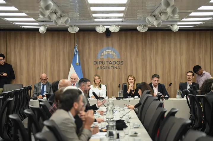 BAJA DE EDAD DE IMPUTABILIDAD