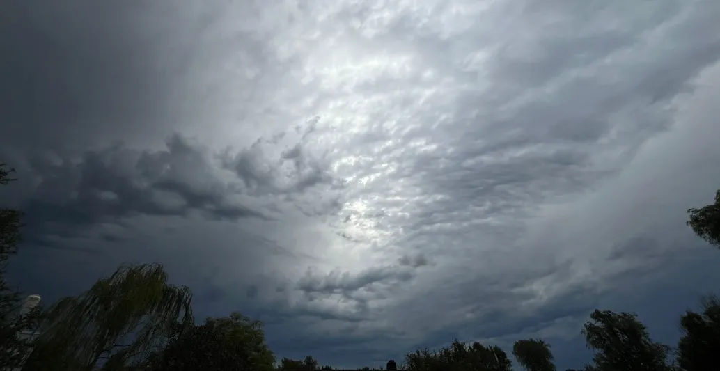 tormenta b