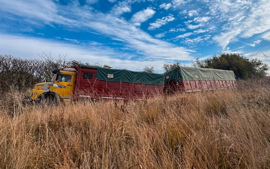 camion