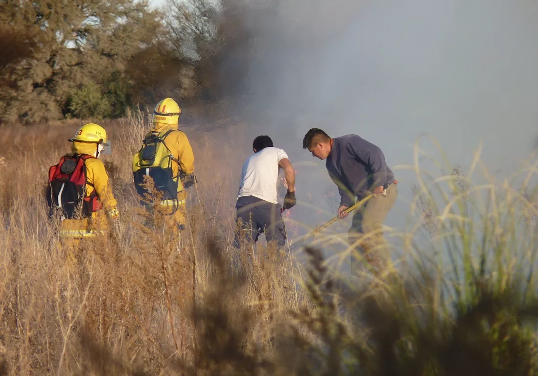 incendio caldenia 2 (FILEminimizer)