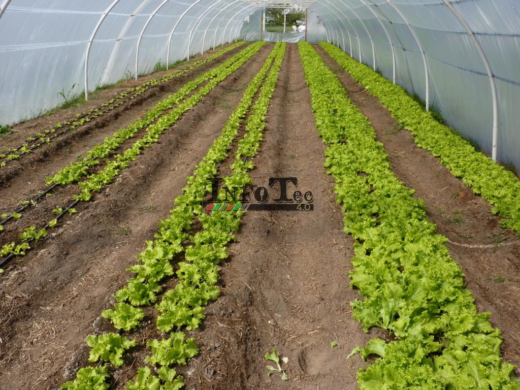 P1280331 (FILEminimizer)