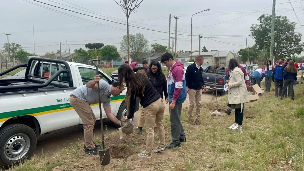 IPSF ARBOLES 13 (FILEminimizer)