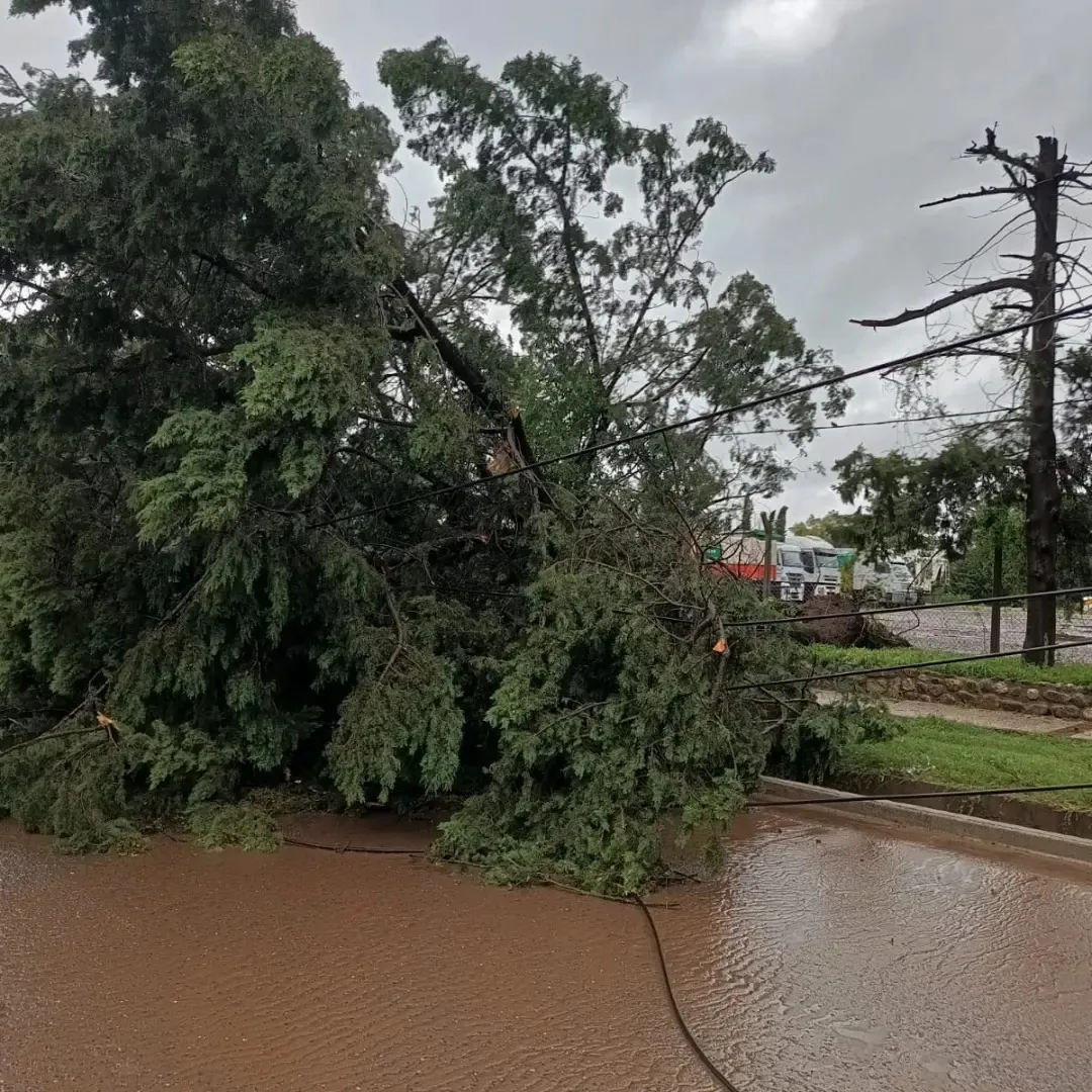 419939044_914212944038910_8568411908747203278_n