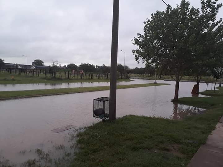 FB_IMG_1550840045263