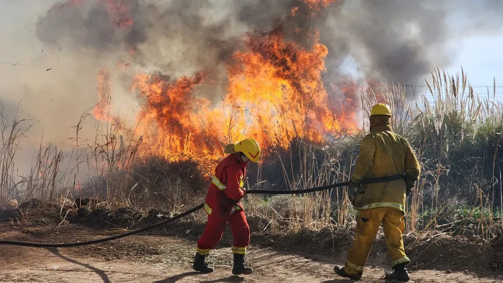 incendio-de-pastizales-3