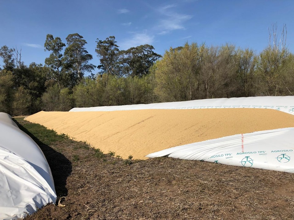 71138327_1306895192838591_375892763197046784_n