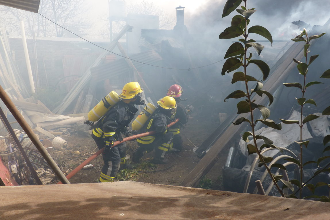 P1390972 (FILEminimizer)