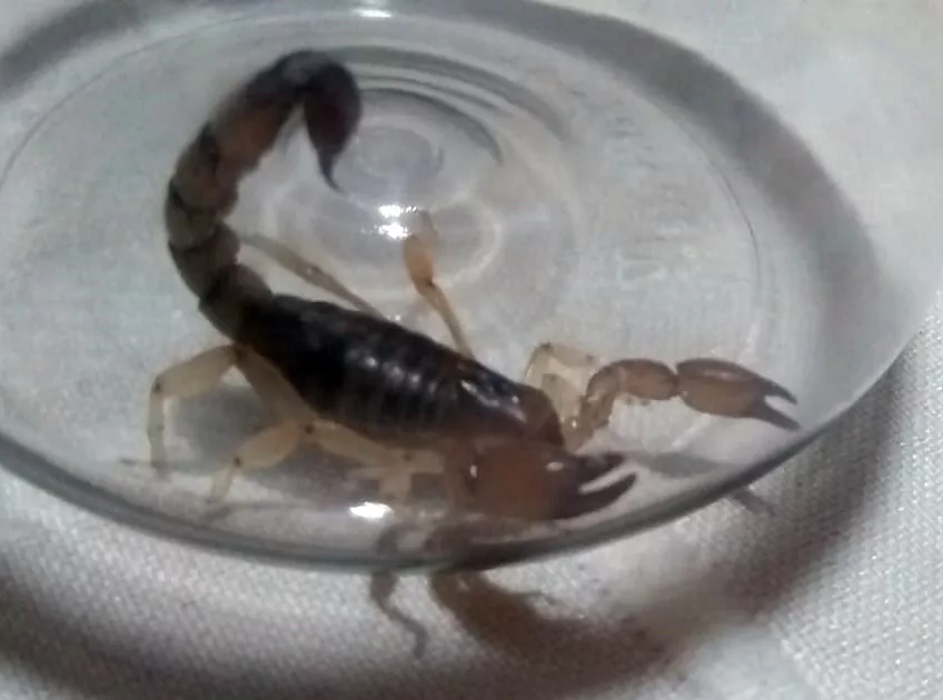 71c73fa0-239a-4086-87f6-fe9c30e8cbcb