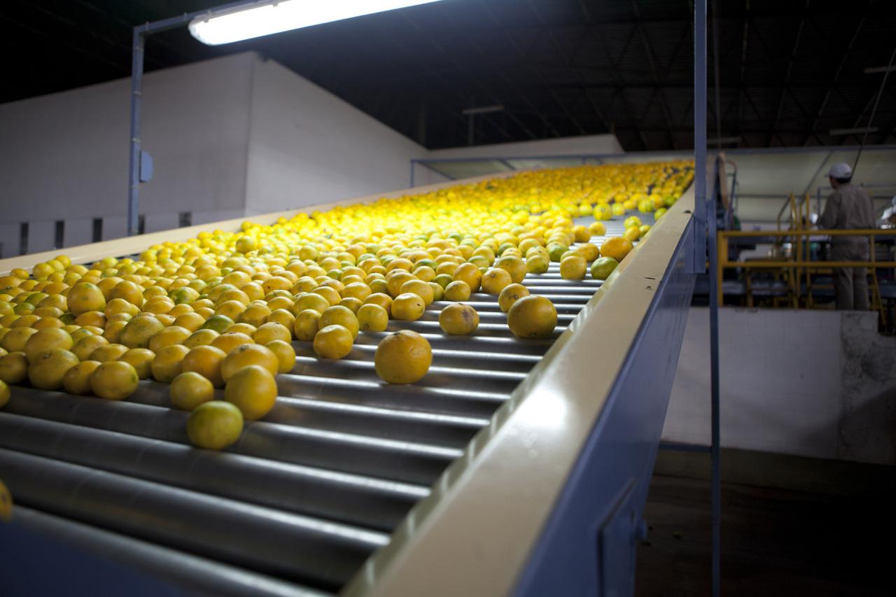 20-05-11_expo_frutas_1