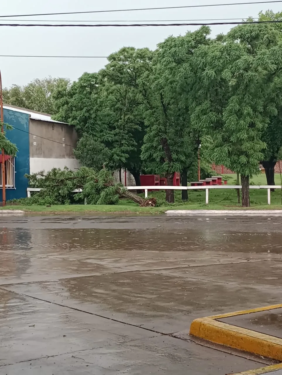 414339804_7366291383382470_2499615965540854062_n